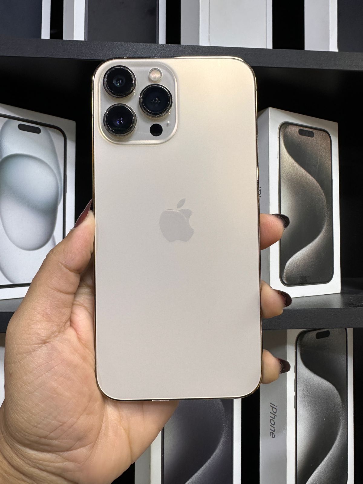 Apple iPhone 13 Pro Max